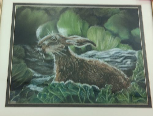 Chris B, Hare.